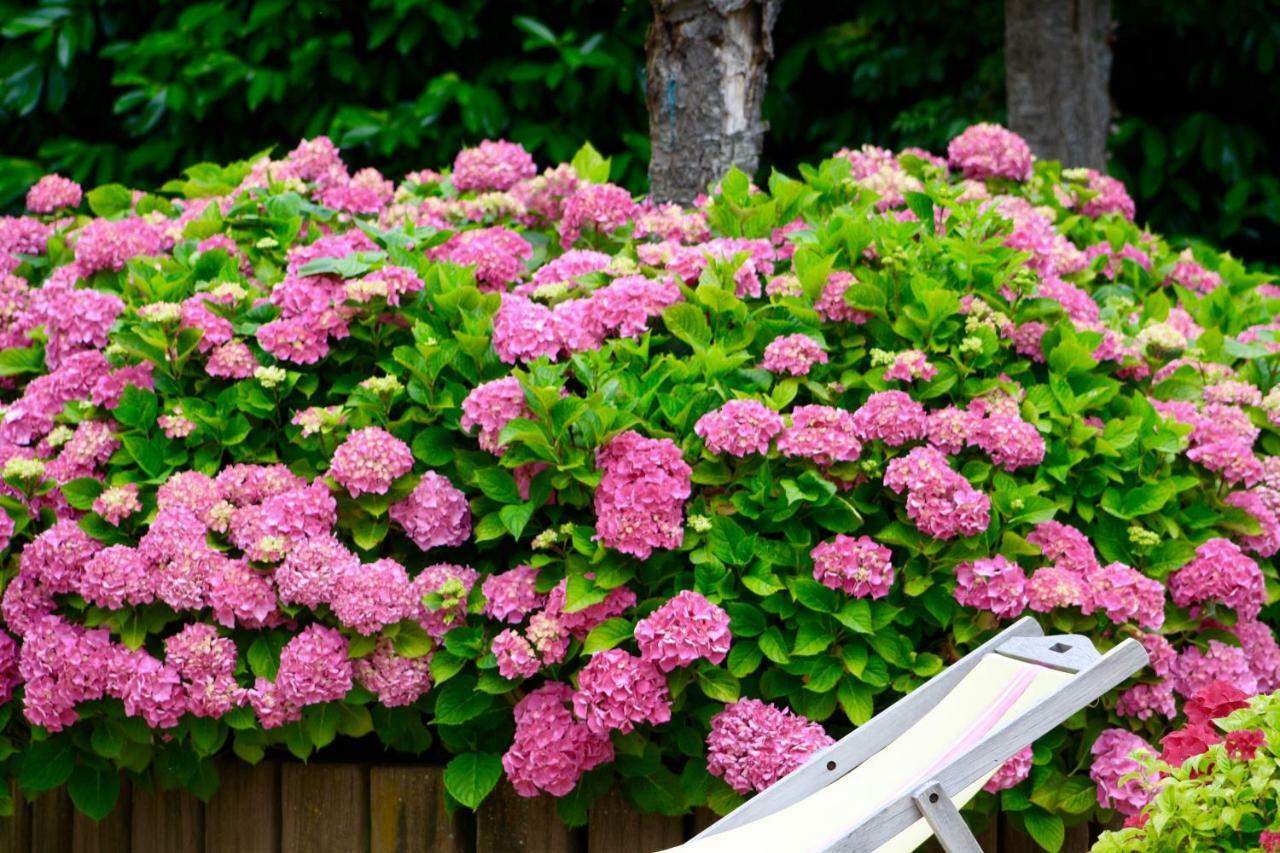 La Longere Deauville Bed & Breakfast 3*